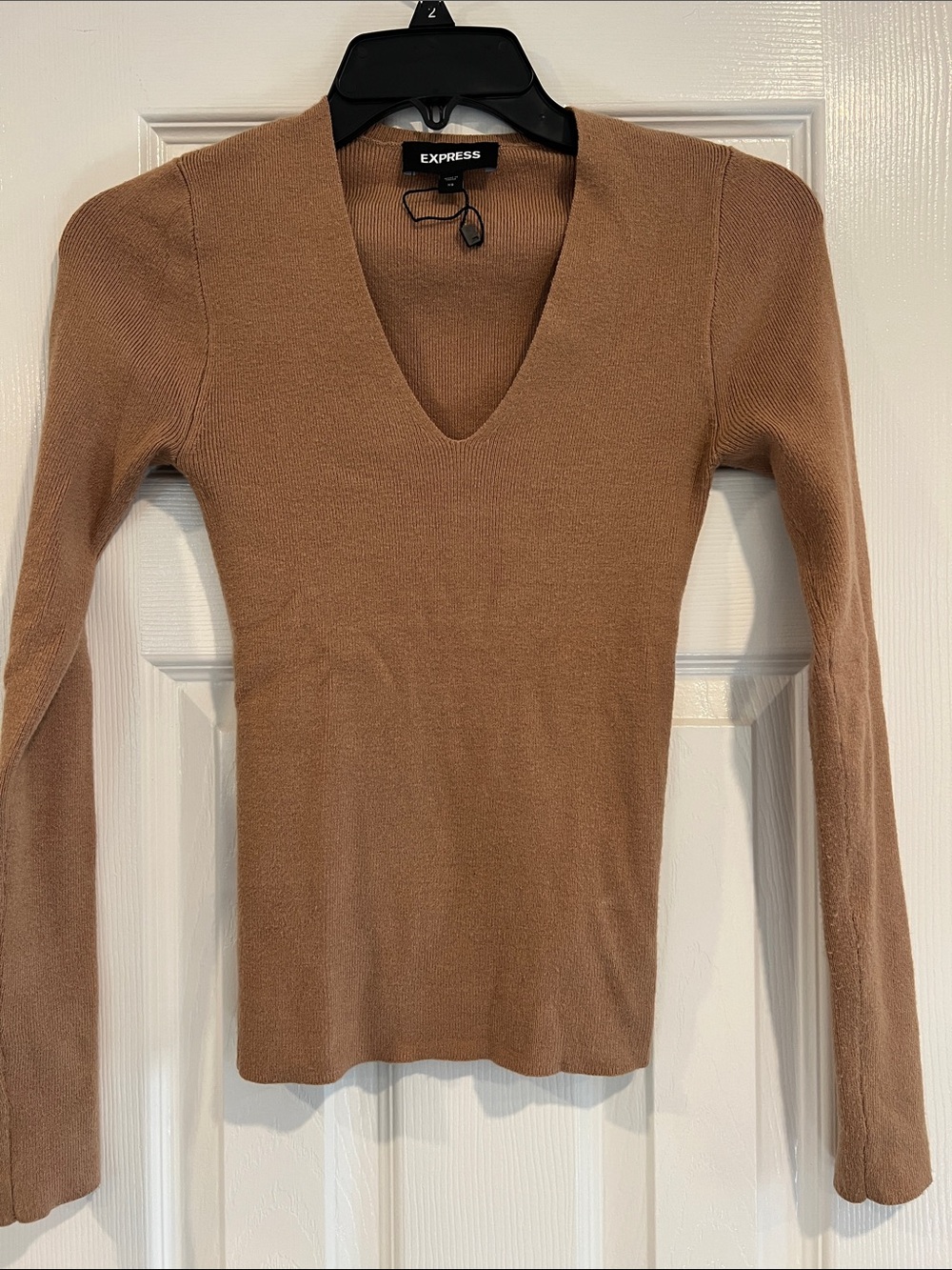 Express Long-Sleeve V-Neck Top in Camel Brown